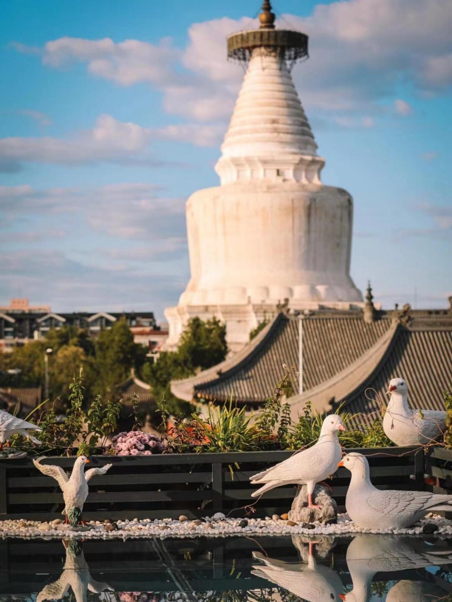 East Sacred Hotel ᴸᴱo---Foreign Accept---Tourism Service English-Speaking 丨 Near Tiananmen Forbidden City丨very Close To Metro Zhangzizhong And Beixinqiao 丨european Foot Ball English丨free Advance Tickets And Laundry Drying Service Coffee Snacks Πεκίνο Εξωτερικό φωτογραφία